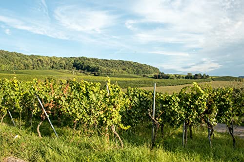 WZG Editon LIFE Beerus Qualitätswein 0,75l süß