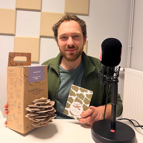 Page de couverture de Le champignon des Vallons