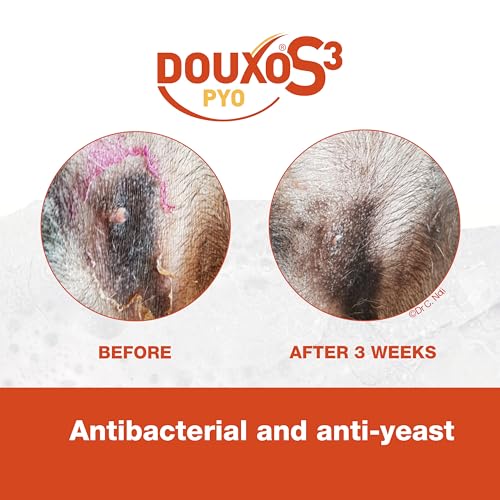 DOUXO S3 PYO Mousse Antibacterial & Anti-Yeast Mousse For Dog No Rinse Chlorhexidine Hypoallergenic Fragrance 150ml PYO Pads Dog & Cat Feet Wipes, Antiseptic, Soothing Purifying & Hydrating x30 - Image 2