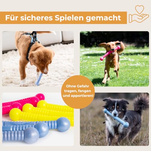 Martin Rütter FUNSTIX Stöckchenersatz für Hunde Größe: S, Farbe: Neongelb – Flexibler & sicherer Apportierstab aus TPE – Schwimmfähig, robust & lebensmittelecht