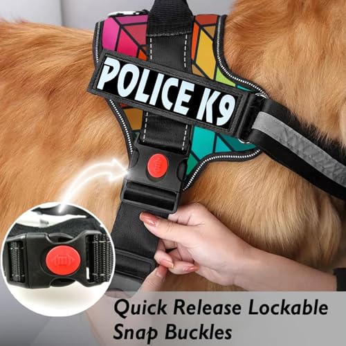 Image of Berlin's Police K9 Dog Harness with Leash, Dog Vest with Handle, Reflective Adjustable No-Pull Harness for Dogs Heavy Duty Nylon, for Training, Patrol, Hiking (Rainbow, Large (21-35Kg))