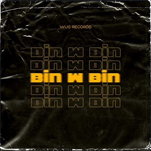  Bin w Bin