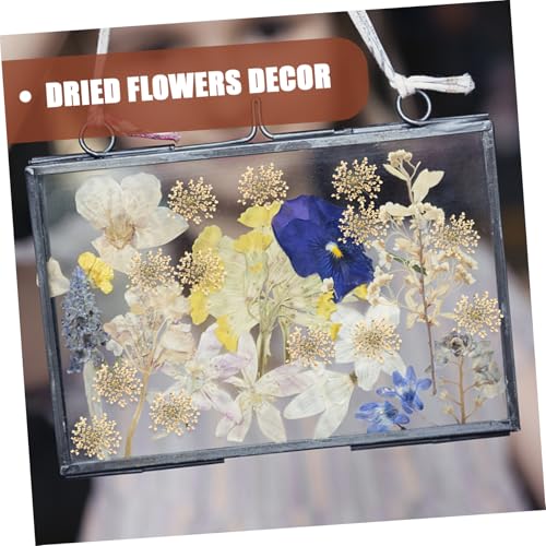 48 flores prensadas Margarita blanca para manualidades miniatura 7