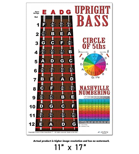 A New Song Music Upright Bass Fingerboard Instructional Poster 4 String Bass Notes Chart Nashville Numbering System Circle of 5ths 11"x17" - Thumbnail 7