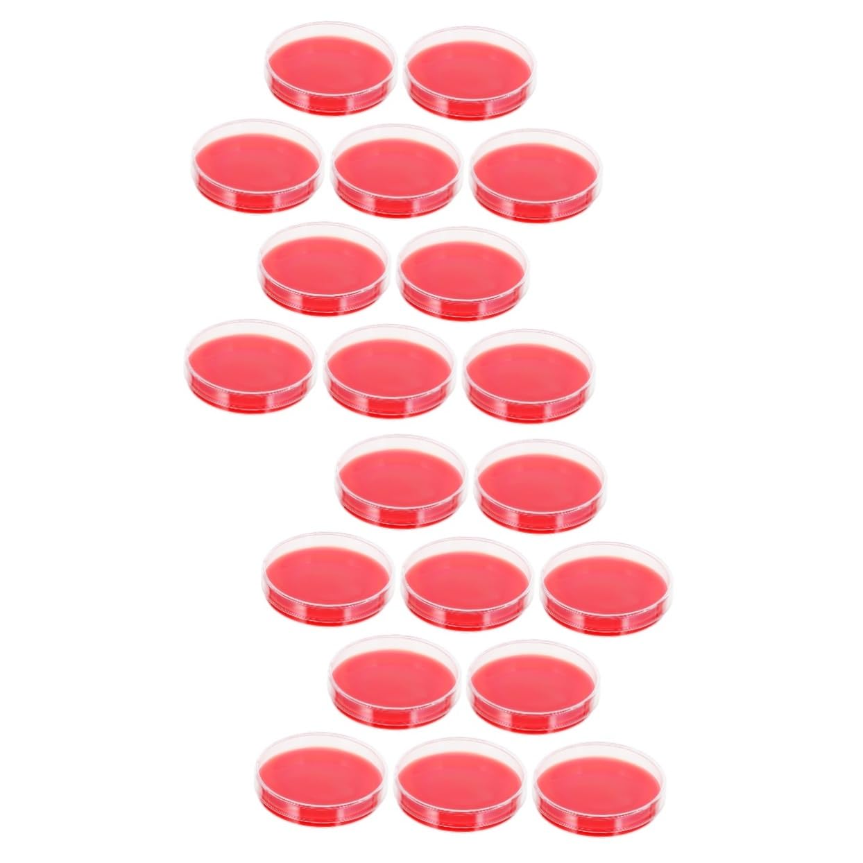 20piezas Placas De Agar Para Cultivo De Microorganismos Laboratorio Medio De Cultivo Duradero y Resistente Caídas