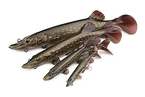 Fox Rage Ultra-Realistischer Hechtköder 25 cm