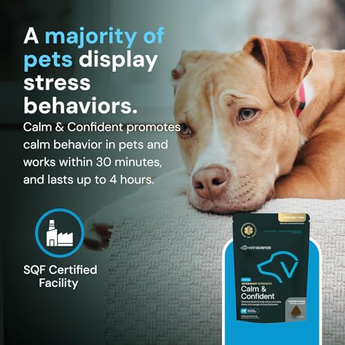 Image of VetriScience Veterinary Strength Calm & Confident Chews - Stress Supplement for Pets - Supports Brain Function for Cats & Dogs - with L-Theanine, Thiamine & More - 60 Count