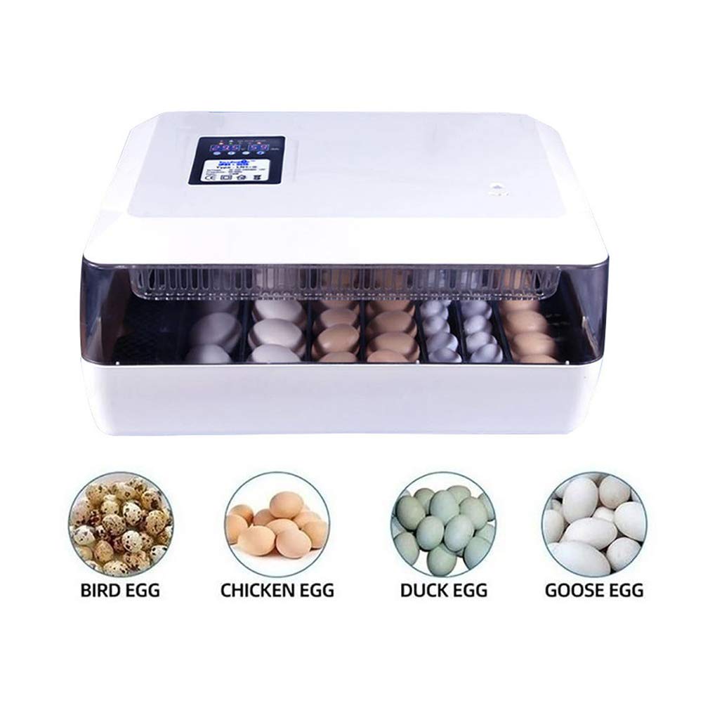 Las mejores incubadoras de regalo para niños, 60 huevos, volteador automático, incubadora de aves de corral, máquina criadora con control de termostato comercial digital, para incubar pollos, patos