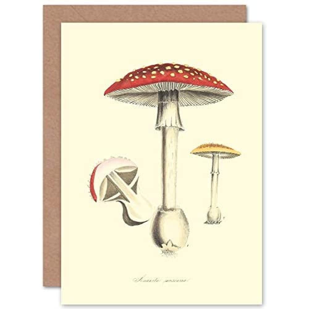 Wee Blue Coo Blue Wee Coo Fungus Amanita Muscaria Fly Agaric Magic Mushroom Greeting Card With Envelope Inside Premium Quality