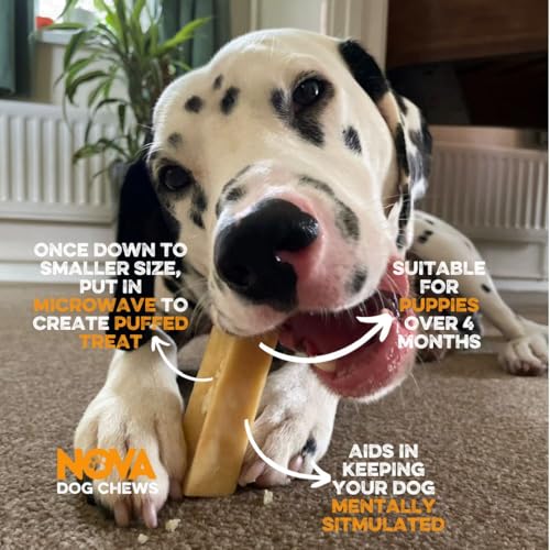 Yak Snack- 100% Natural Himalayan Yak Chews for Dogs Strawberry 3 Pack Yak Milk Dog Chews, Long-Lasting Hard Cheese Yak Chew - Image 4