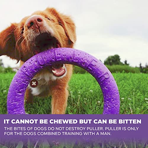 PULLER Midi Interaktives Hundespielzeug Fitness-Tool-Set