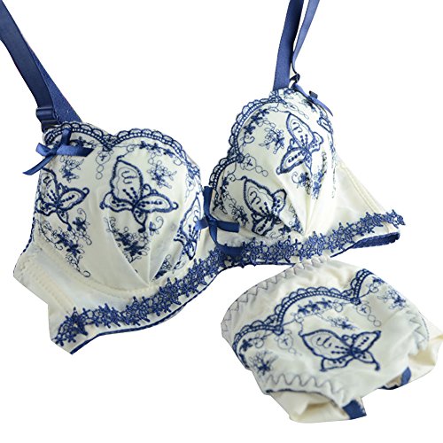 Sungpunet Womens Embroidered Padded Plunge Push-Up Bra with Matching Hipster Panty Set