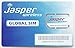 Jasper Wireless Global SIM Card 130-100-064-00-01, 8V00.017.2 Mini International Cell