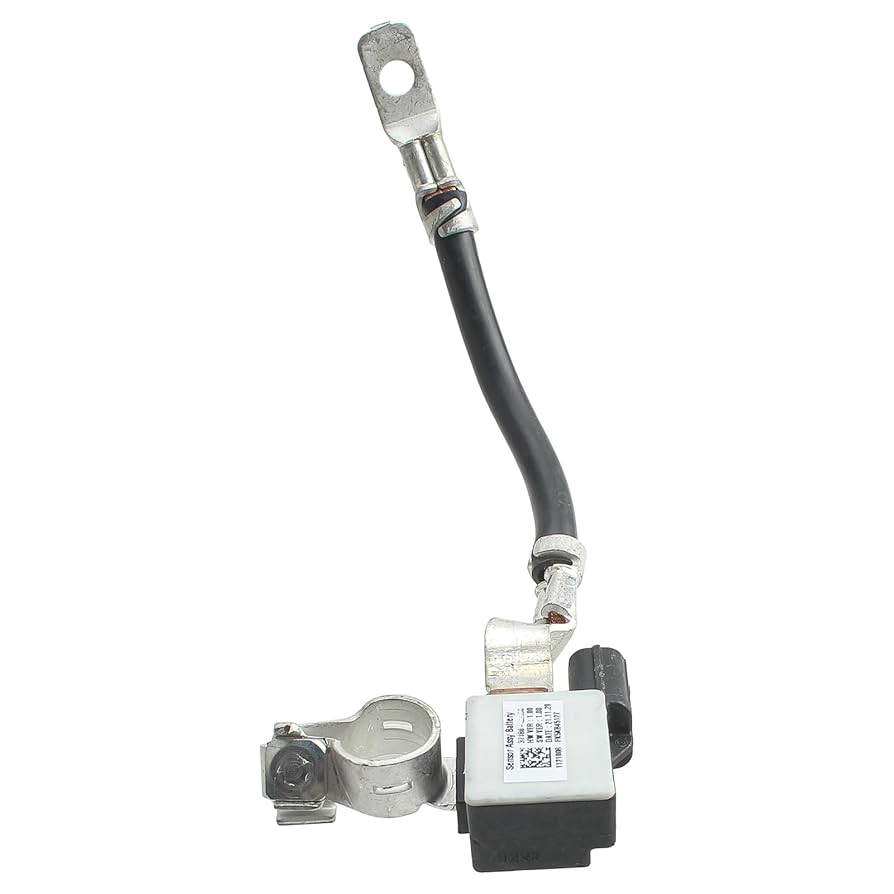 Lycoris.　1207 VAN ZYVERDEN Lycoris Bulbs Aurea (Set of 6) 87180 - The Home