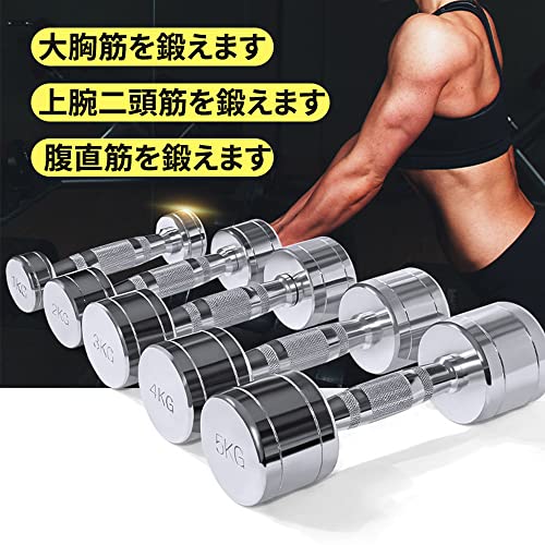ダンベル 家庭用ダンベル スチール製 2個セット1kg/2kg/3kg/