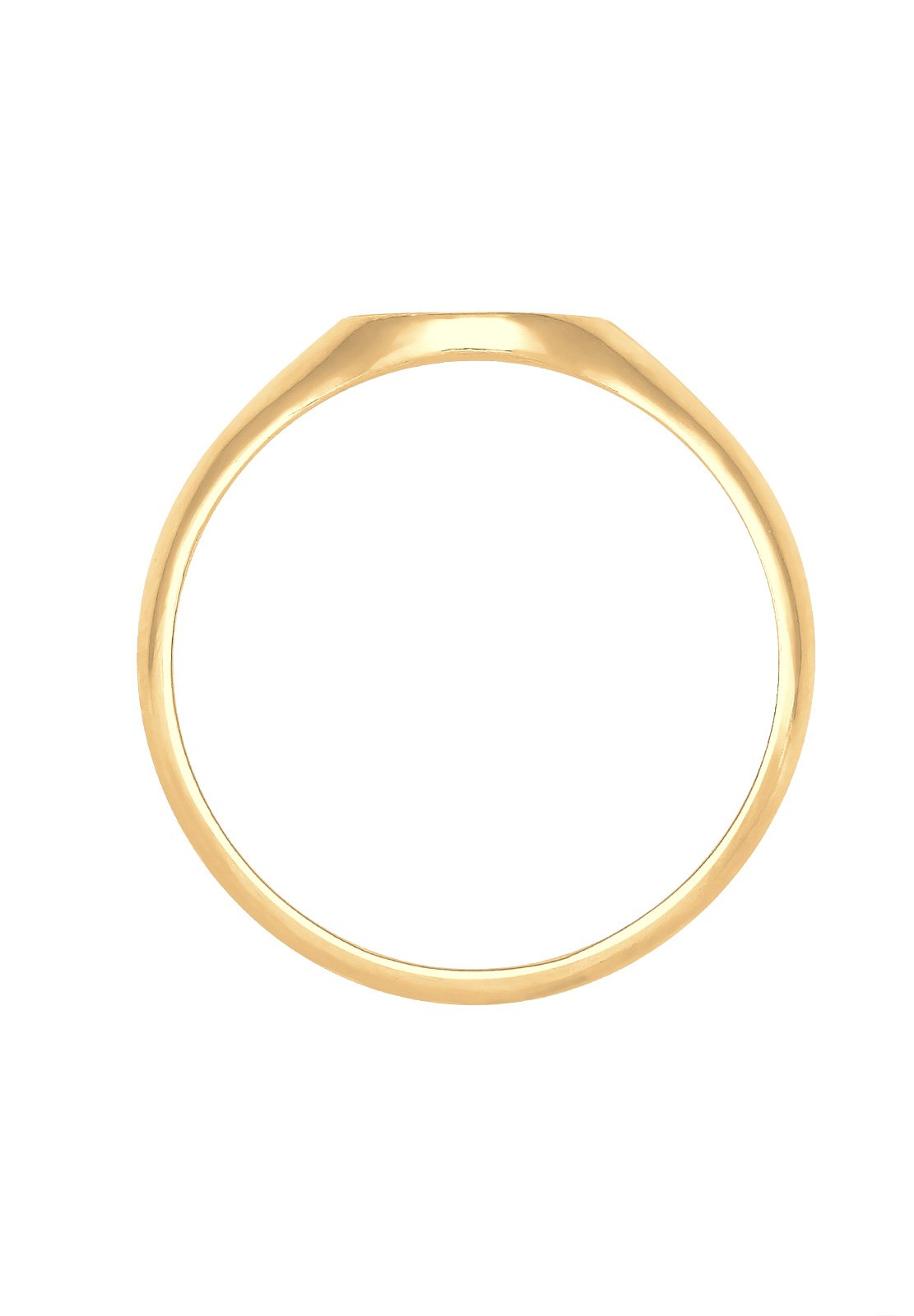 Elli Ring Damen Siegelring Matt Trend in 925 Sterling Silber