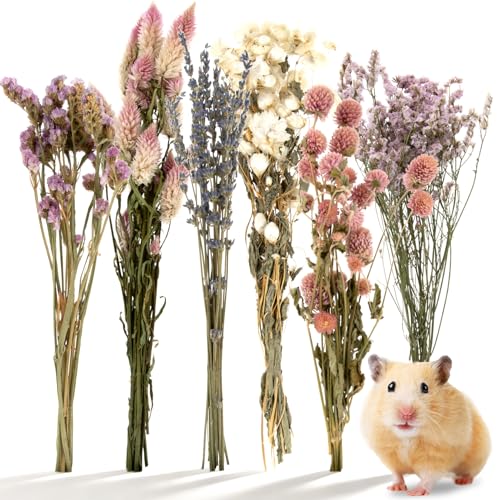 Sukh Natural Hamster Sprays Habitat Decor Hamster Cage Accessories for Hamster Enrichment Botanical Hamster Hideout & Hamster Cage Decor for Syrian Hamster Dwarf Gerbil & Small Animal