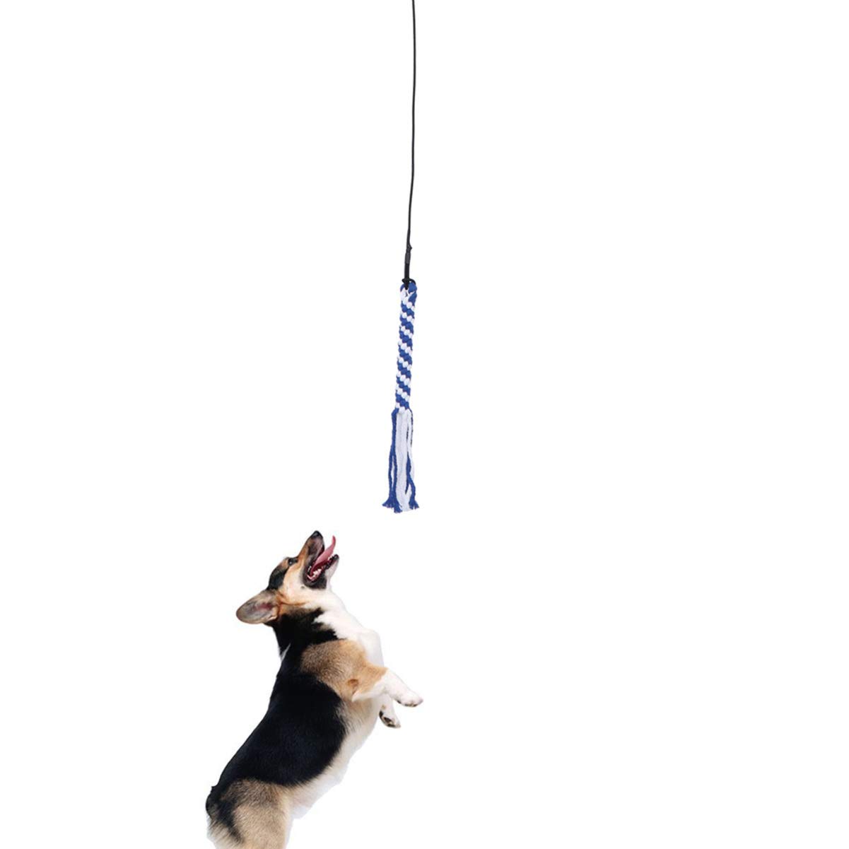Yardwe Bastone Interattivo Estensibile per Cani, Gioco di Inseguimento | Alluminio e Corda in Nylon-cotone, Nero, Dimensione S, per Esercizio Mentale e Anti-graffio