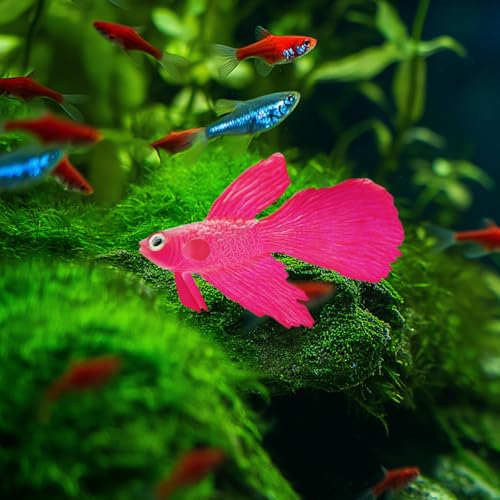 Image of 2 Pack Aquarium Floating Swimming Betta Fish Decor, Vivid Artificial Fish Tank Glowing Fish Ornament, Lifelike Funny Aquarium Fish Scenery for Betta Fish Lovers Small to Large Tank (Betta)