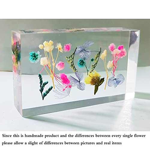 Ptgmh Flower Paper Weights For Office Bulk Resin Paperweight For Desk Square Paperweights Decorative With Real Dried Flower Specimens Paperweight Cube Ornament (Colorful) #TOP1