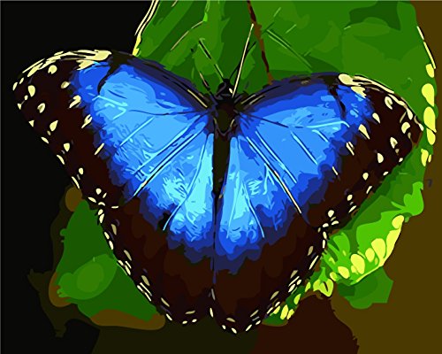 TianMai New Paint by Number Kits - Blue Butterfly 16x20 inch Linen Canvas Paintworks - Digital Oil Painting Canvas Kits for Adults Children Kids Decorations Gifts (No Frame)