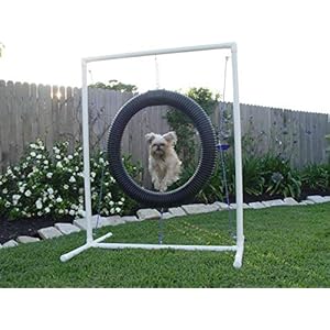 Tire Jump – Dog Agility Equipment