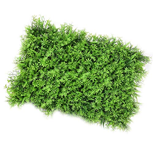 Top 10 Best Looking Fake Aquarium Plants Reviews & Buying Guide Katynel