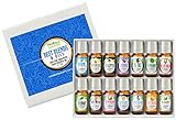 Best Blends & Oils Set of 14 - 100% Pure, Best Therapeutic Grade Essential Oil - 14/10mL