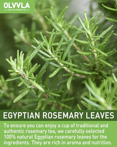Image of Olvvla - Rosemary Tea Bags - 1.5g X 60 Count - Pure Natural Dried Rosemary Leaves - Cultivated in Egypt - Non-GMO - Caffeine-free - Support Digestion