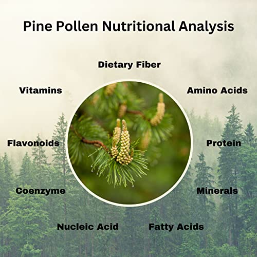 Go Nutra Pine Pollen Powder Cracked Broken Cell Wall | Pine Pollen Powder 10:1 Strength | Pine Pollen | Non Gmo Superfood Tree Pollen Herbal Extract (1 Lb. (16 Oz.)) #TOP5