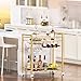 Joaxswe Bar Cart,Home Bar Serving Cart with Storage Shelves, 2 Tier Rolling Beverage Cart with Wheels, Modern Wine Cart with Wine Rack and Glass Holder for Kitchen, Living Room,Dinning Room,Gold