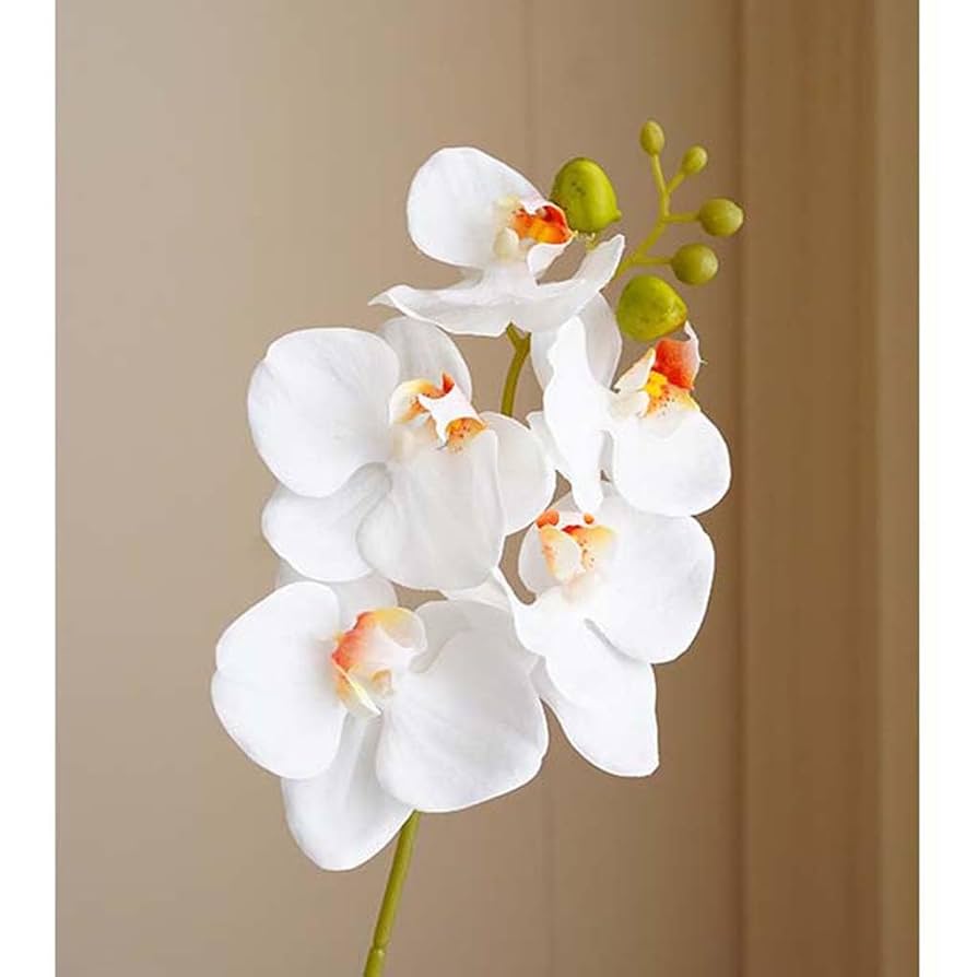 胡蝶蘭（造花）高さ75cm 祝い エントランス ロビー 観葉植物 フェイク 胡蝶蘭（造花）高さ75cm 祝い エントランス ロビー 観葉植物