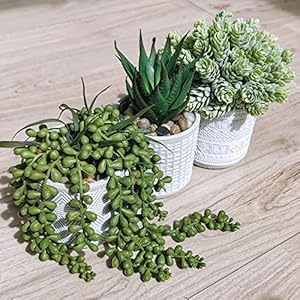 Set of 3 Assorted Small Potted Succulent Plants Fake Aloe String of Pearls Hops Succulents in Gray Geometric Concrete Ceramic Pots for Gifts Modern Home Office Desk Table Indoor Outdoor Greenery Decor