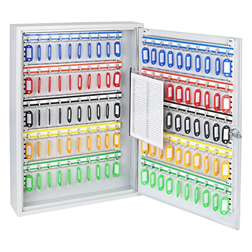 HMF Armario para Llaves Grande de Acero, Caja Llaves Pared con Cerradura para Oficina, administración o Flota de vehículos | 100 Ganchos para Llaves | 55 x 38 x 8 cm | Gris Claro