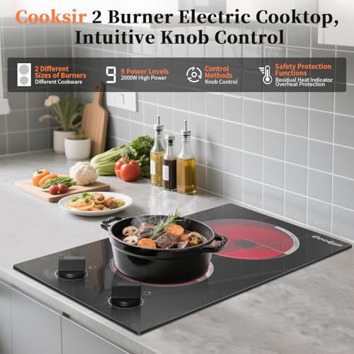 2 Burner Electric Cooktop - 110v Countertop and Built-in Electric Stove 2000W, 12 Inch Ceramic Stove with Residual Heat Indicator, Over-Temperature Protection, Knob Control, 110-120V Plug in
