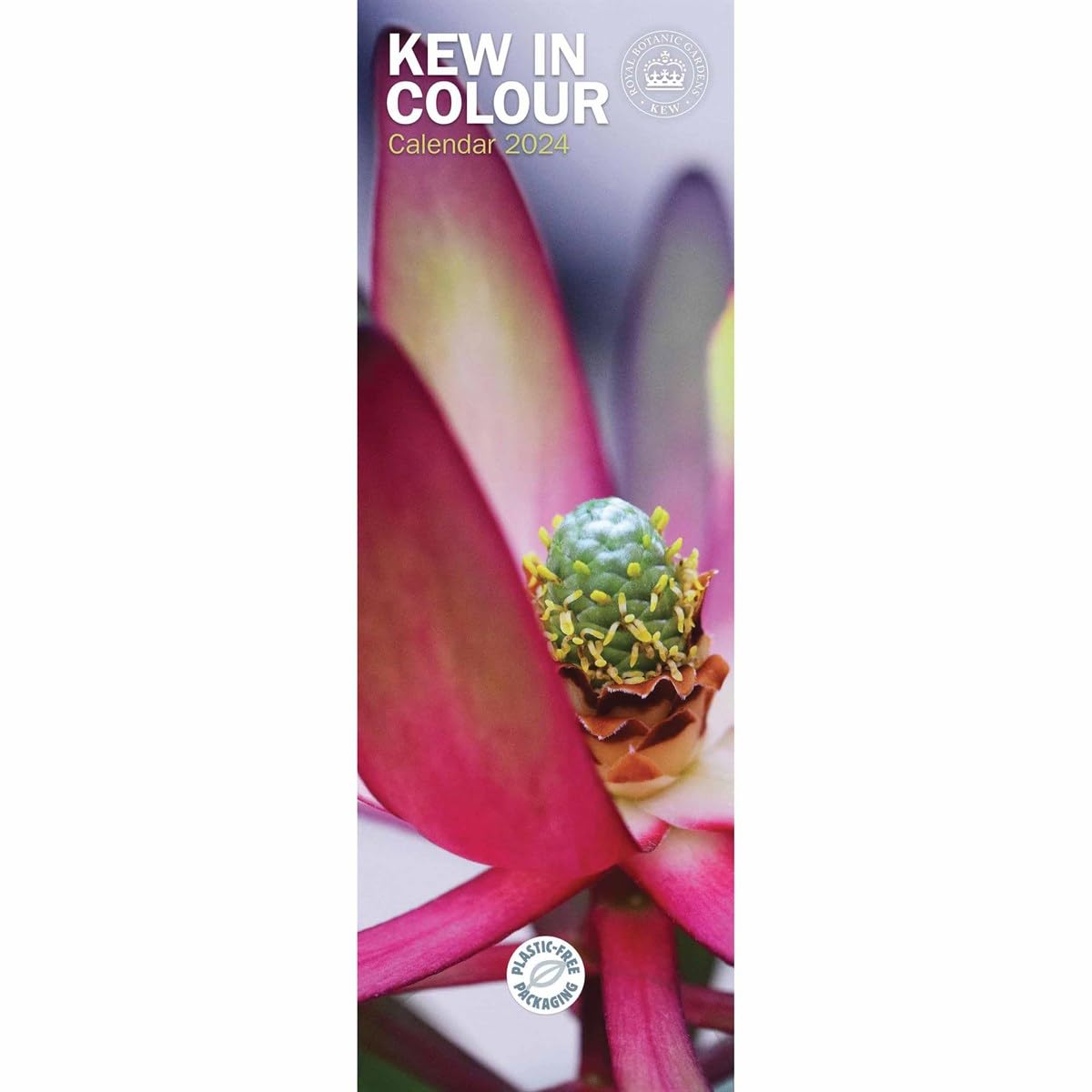 Royal Botanic Gardens Kew in Colour Slim Calendar 2024