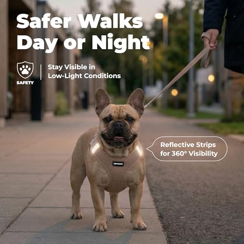Image of Best Pet Supplies Voyager Step-in Air Harness - All Weather Mesh, Reflective, No Pull Harness for Dogs, Cats - Secure with Hook & Loop Fastener, Buckle, Double D-Rings - Khaki, XXXS