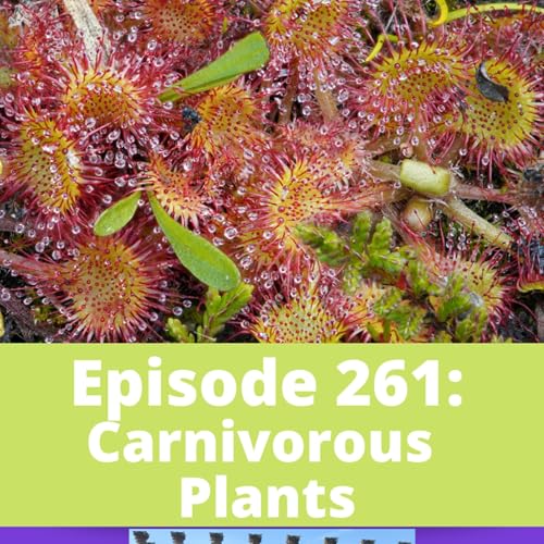 Carnivorous Plants Podcast Por  arte de portada