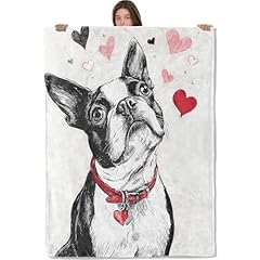 Boston Terrier 01