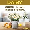 Mrs. MEYER'S Clean Day All-Purpose Cleaner Spray 16 Fl Oz (Daisy)