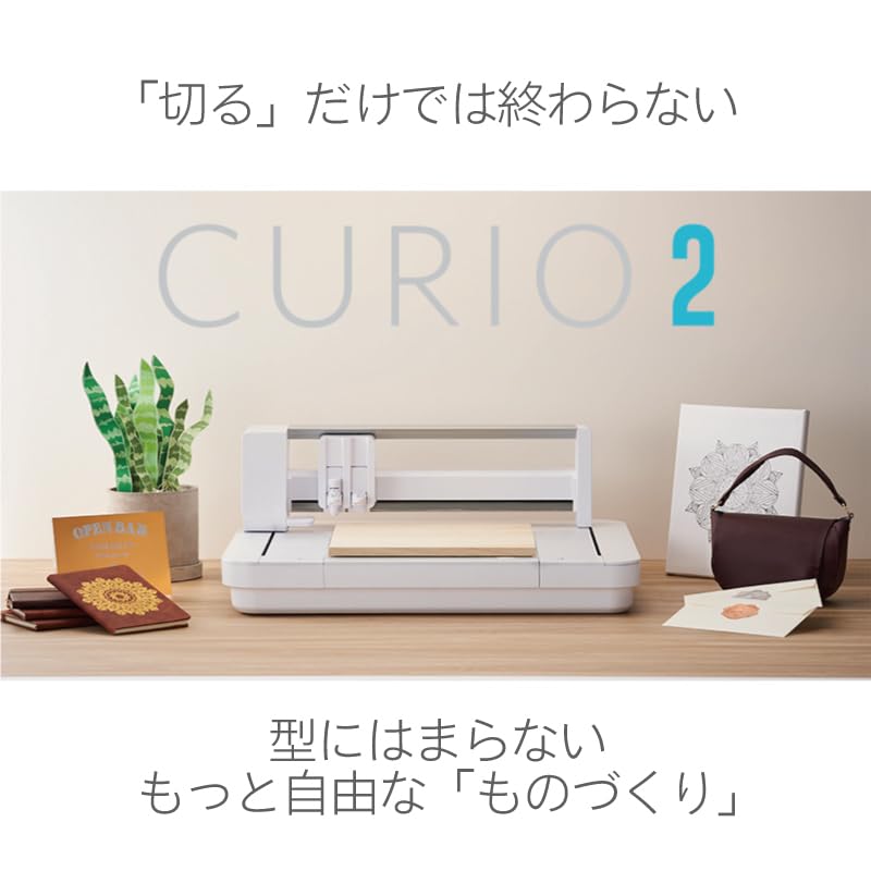 Amazon.co.jp: シルエットキュリオ2 SILH-CURIO-2-J 12インチフラット