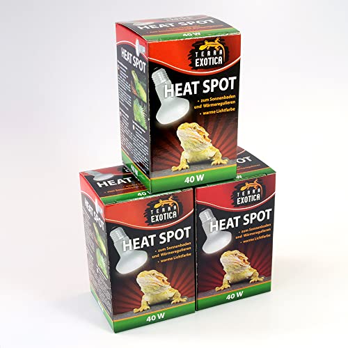 Terra Exotica Heat Spot 40 Watt - Wärmestrahler für Reptilien - 25W, 40W, 60W, 75W, 100W, 150W - Terrarium Wärme Spotstrahler - Terrarienbeleuchtung - Wärmelampe (1, 40 W)