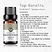 Sandalwood Essential Oil, 100% Pure Natural Aroma Sandalwood Oil for Diffuser (10ML)