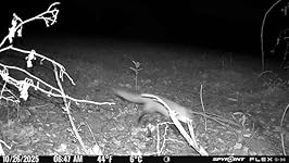 Review Image by Golden Acre Homestead Golden Acre Homestead