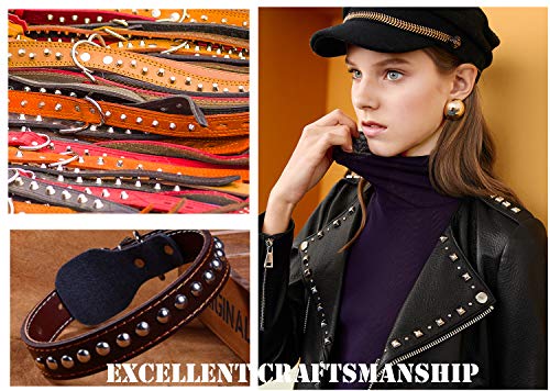 Brass Rivets Purse Ball Studs Rivets Nails Chicago Stud Screw 360 Rotatable D Ring Brass Rivets Diy Leather Collar Belt Handbag Shoes Case Motorcycle Furs Jeans Brass Rivets (Small D Ring, 2Pcs) #TOP5