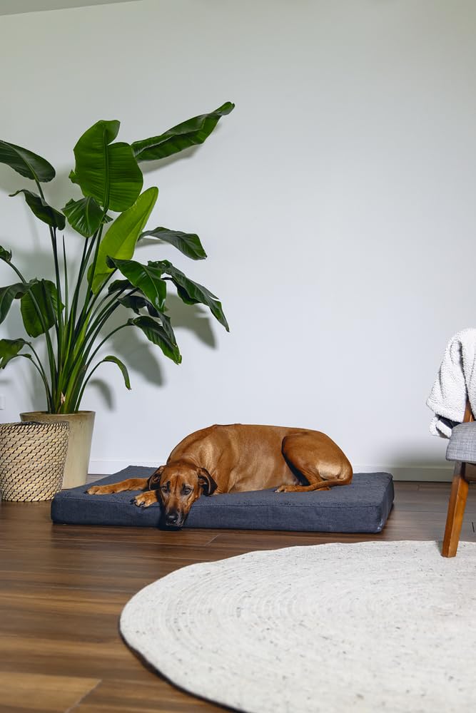 Beeztees Zira, lettino ortopedico per cani, grigio scuro, 100 x 70 x 9 cm