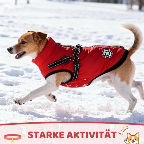 Hundemantel Winter mit Geschirr, Warme Hundejacke für Kleine Hunde, Wasserdicht, Reflektierend, Rot M, Hundemantel Für Kleine Hunde, Ideal Wintermantel Hund für kalte Tage, Hundejacke Wasserdicht
