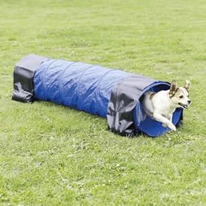 TRIXIE Dog Agility Tunnel– Dog Tunnel for Small Dogs or Cats Agility Training, Portable Dog Tunnel 78.7 in Long & 15.7 in Diameter, Dog Agility Equipment for Beginners & Advanced
