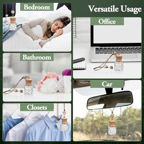 Image of RoyAroma Hanging Car Air Fresheners, 2 Pack Long Lasting Automotive air fresheners up to 30-45 Days, Non Toxic Natural Fragrance Car Diffuser Freshener for Cars,Home,Office- Cool Ice