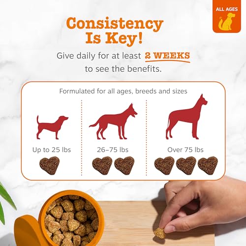 Image of Zesty Paws Senior Dog Supplement - Bladder Control for Dogs, Chicken 90ct
